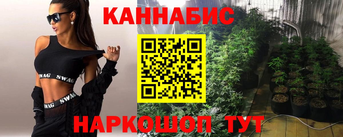 Вичуга  Канабис OG Kush  Канабис Amnesia  Вход с VPN  МАРИХУАНА Amnesia  Канабис конопля 